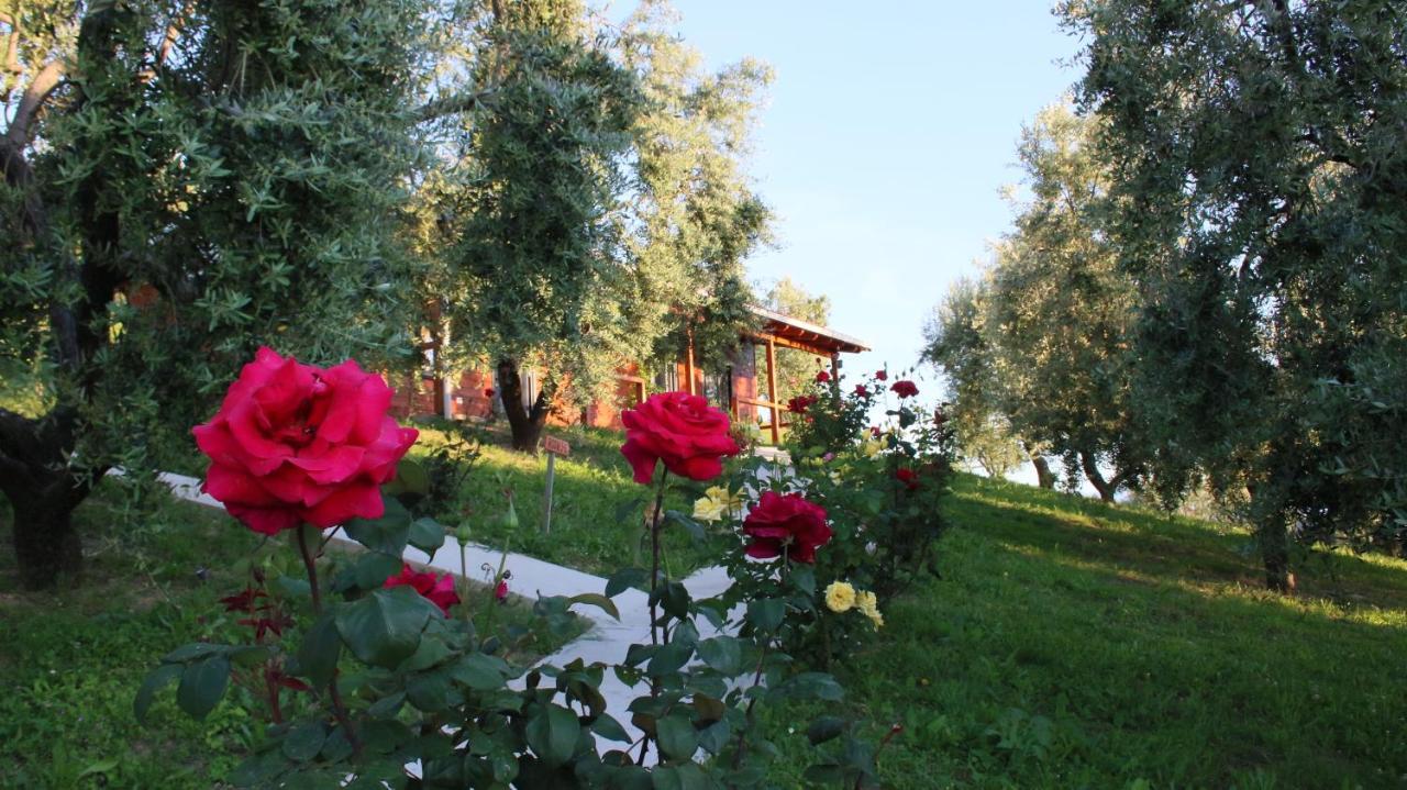 Agroturizem Bylis Hotel Hekal Exterior photo