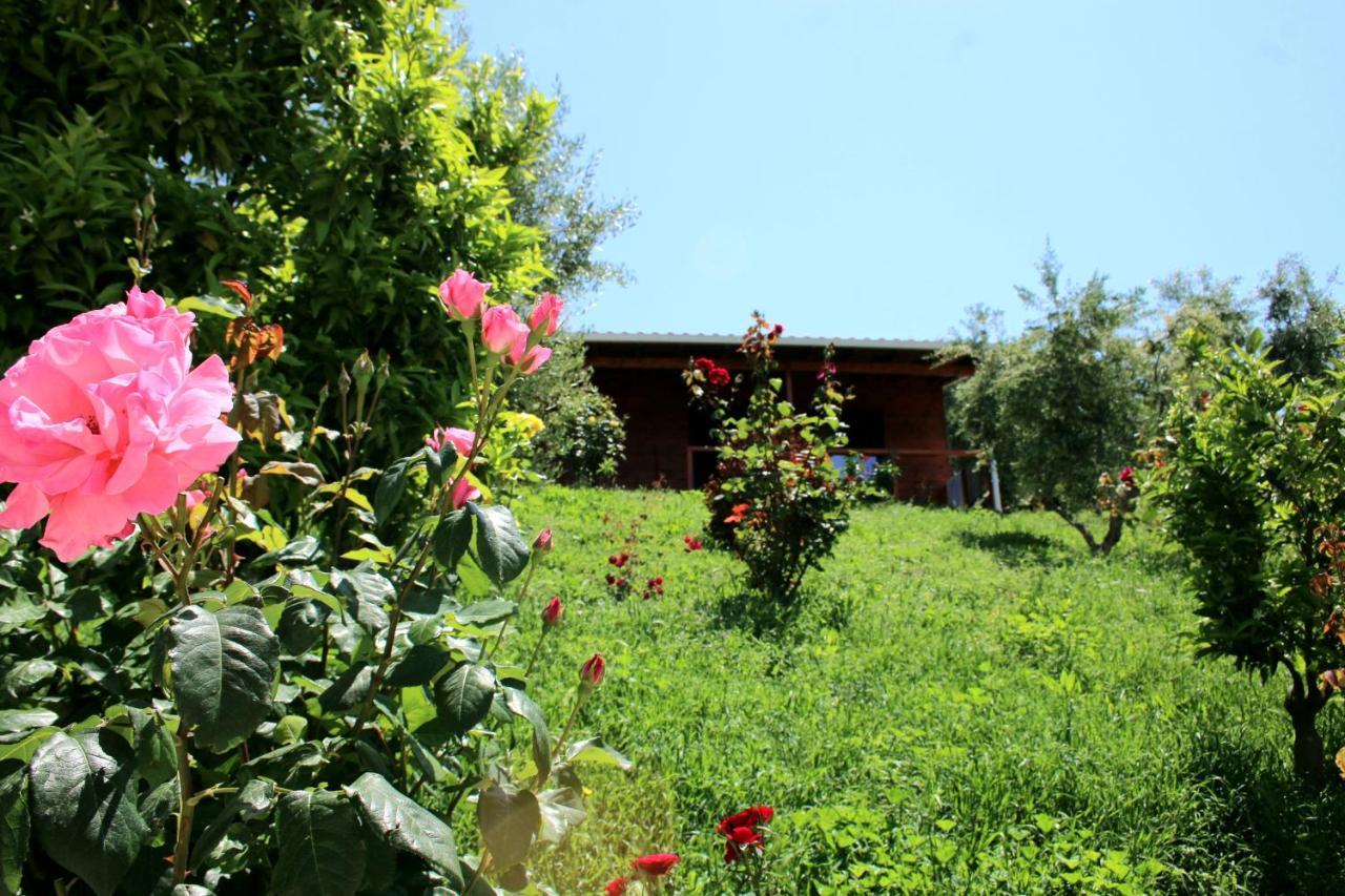 Agroturizem Bylis Hotel Hekal Exterior photo